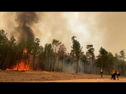 Crews use bulldozers, back burns to slow spread of Walker County wildfire