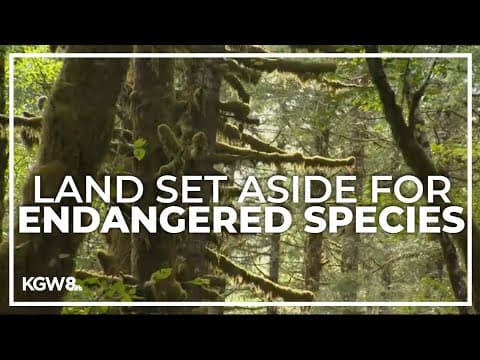 Oregon moves forward on plan to curb logging in Tillamook, Clatsop counties