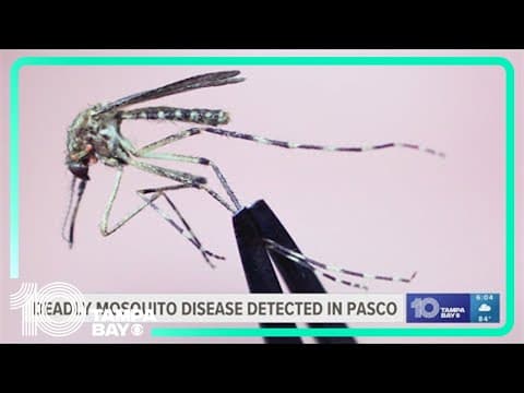 Deadly mosquito disease detected in Pasco County