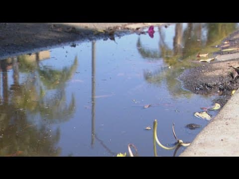 Neighbors in North Park frustrated by standing water with no drainage