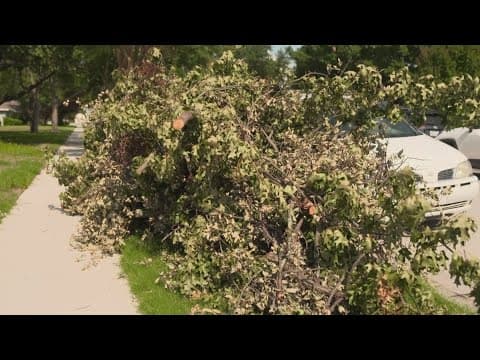 North Texas cities have collected thousands of tons of storm debris