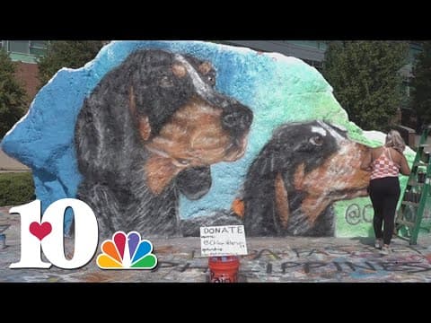 UT students prepare for UTSA game by painting Smokey X and XI on the rock