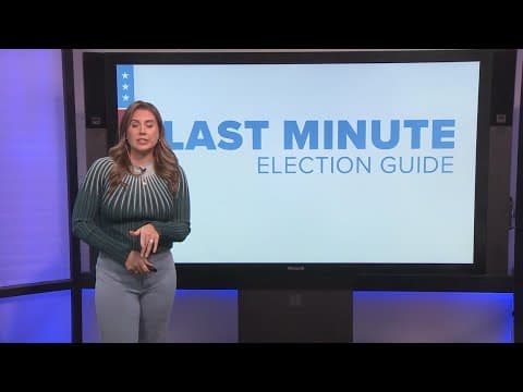 Louisiana Midterm Elections Guide
