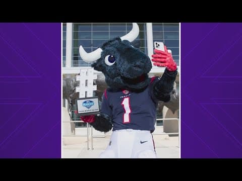 Houston Texans' TORO scores two NFL Mascot Awards