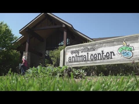Inside Young-Williams Animal Center: A day in the life of Knoxville's animal service team