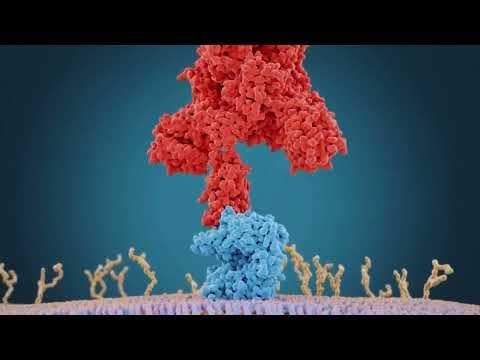 Omicron COVID-19 variant detected in Ohio