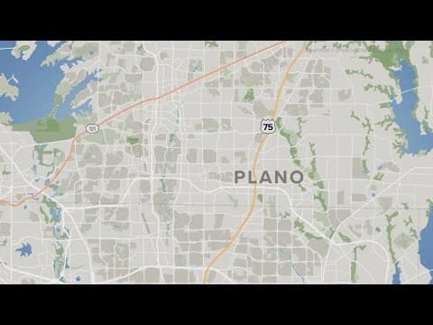 Bat tests positive for rabies in Plano