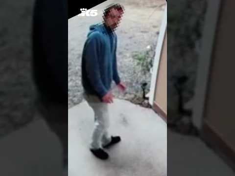 Homeowners near Yelm 'terrorized' by burglar prowling their community