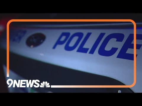 Watchdog agency opposes DPD's plan for disciplining officers