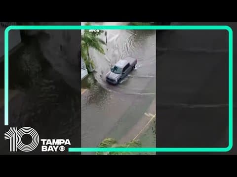 Mobile home park flooded after relentless rain swept through South Florida #10tampabay #shorts