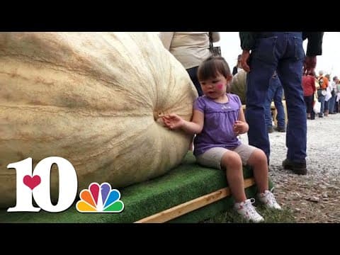 Allardt Pumpkin Festival brings out big competition (2017)