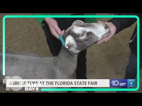 Florida State Fair kicks off first full weekend
