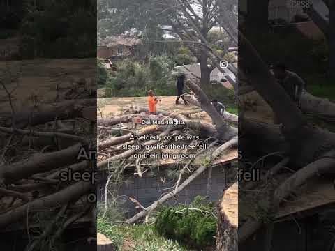 Winter storms bring 50 mph winds, rain, knocks down trees and close schools in San Diego County