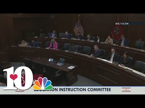 Anti-abortion videos, emotional support dogs and more | Here are 3 bills in the TN legislature