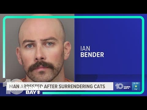 Pinellas County man allegedly left 5 cats dead, 2 cats in critical condition at local shelter