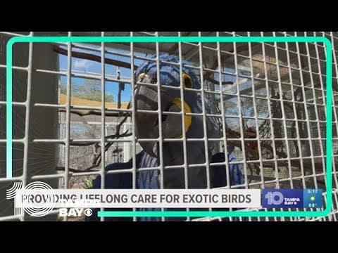 Providing lifelong care for exotic birds: Community Connection (Hudson)