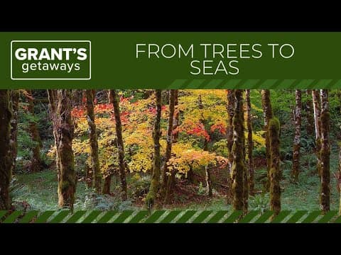 Explore this autumn byway on Oregon Coast Range