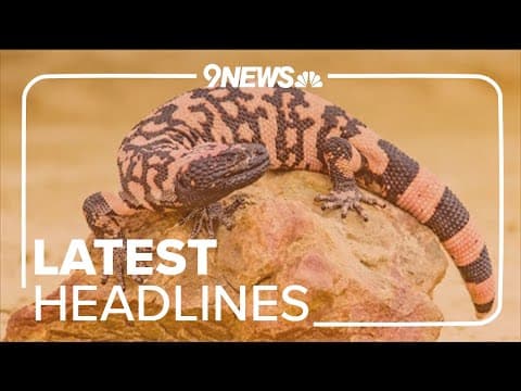 Extended headlines | Veterinarian weighs in on man's death after Gila monster bite
