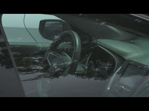 Attempted car theft with children inside leaves Algiers strip mall on edge