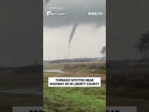 Tornado captured on video in Liberty County, Dec. 26, 2024 #Shorts