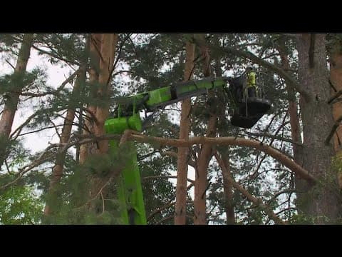 Residents assess damage after heavy rain, wind tears through Cambridge