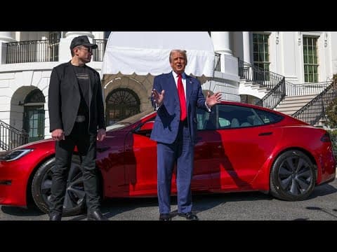 Donald Trump selects new Tesla on White House driveway to show support for Elon Musk