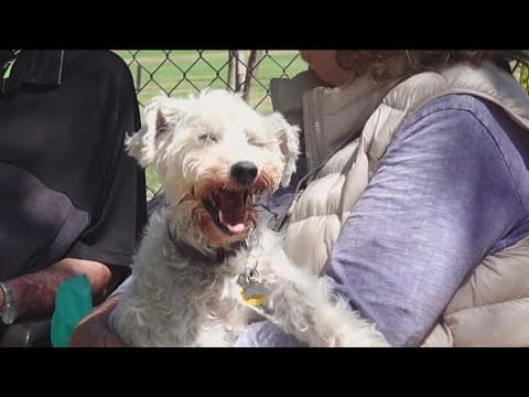What's going on with the Rancho Bernardo dog park repairs?