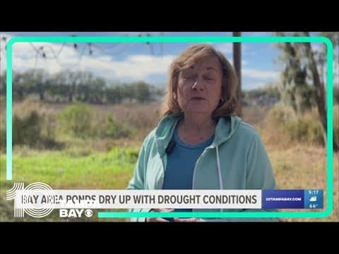 Hillsborough County code enforcement issues over $24K in fines for breaking water restrictions