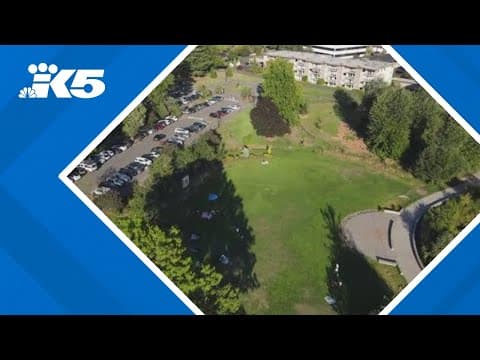 Suspect accused of rape at Kirkland's Juanita Beach Park held on $200K bail