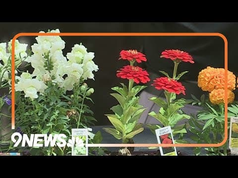 What to do to prep your garden for the Colorado summer