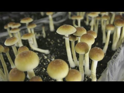 San Diego's top stories for December 20 at 6 am