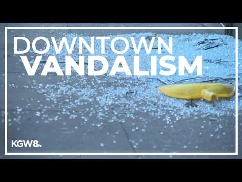 Downtown Portland businesses vandalized with no apparent motive, owners say