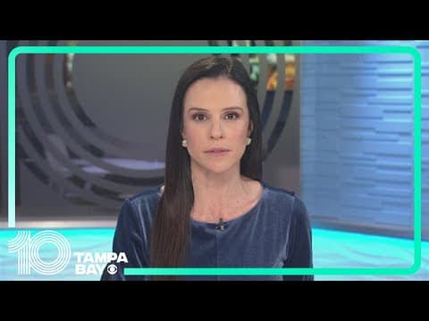 President-elect Trump asks Supreme Court to delay ban on TikTok