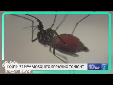 South Tampa Mosquito spraying as Florida leads the country in Dengue Fever cases