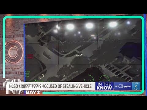 Hillsborough County deputies arrest teens accused of stealing vehicle