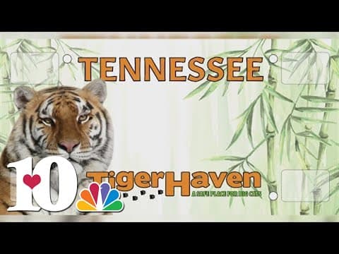 Tiger Haven looking for pre-orders of specialty license plate ahead of June 15 deadline