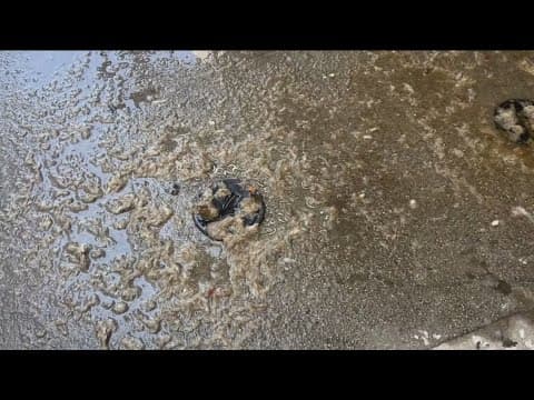 Sea Breeze sewage woes | Lincoln Park apartments hit by waste water overflow