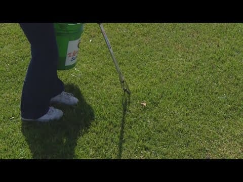 Creek to Bay Cleanup 2025