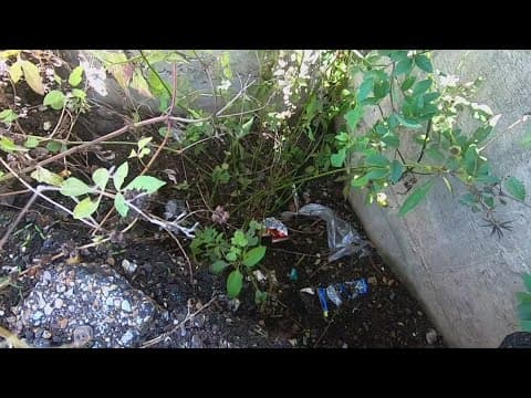 'About the size of a person' | Sinkhole opens next to a bridge