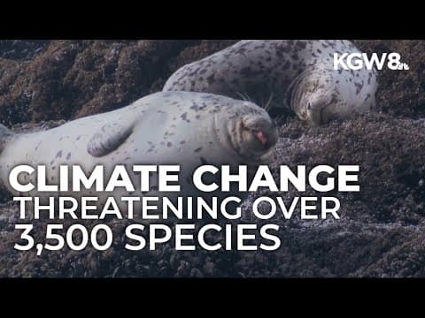OSU researcher: Wild animals are facing 'existential crisis' with growing climate change