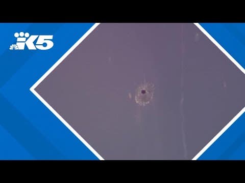 School building hit by gunfire in Seattle