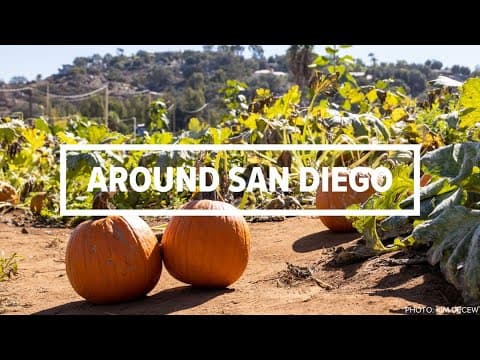 Around San Diego | October 28