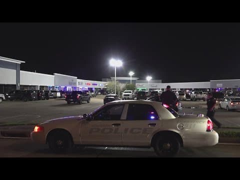 20 arrested in after-hours club raid in southeast Houston, police say