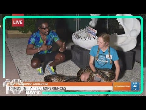 Tarpon Spring Aquarium offers hands-on animal experiences for guests