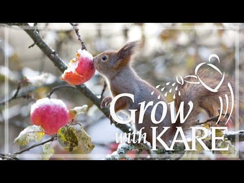 Grow with KARE: Plants for winter wildlife