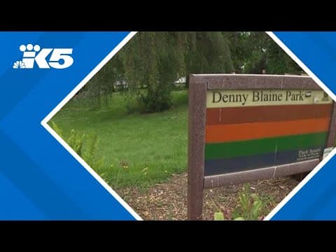 Neighbors claim 'rampant' public masturbation at Seattle's Denny Blaine Park