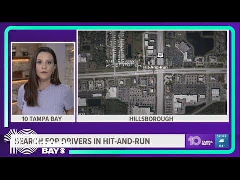 Woman killed in Riverview during potential hit-and-run; two drivers of interest sought