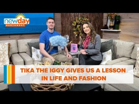 Tika the Iggy gives us a lesson in life and fashion! - New Day NW