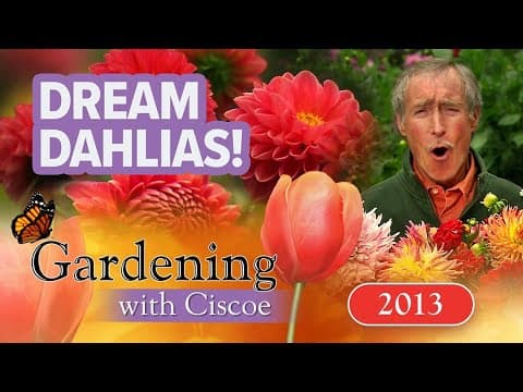 DREAM DAHLIAS! Where to pick your own bouquet! | Gardening With Ciscoe | Full Episode