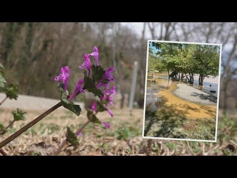 Campgrounds along Tennessee Valley reservoirs to reopen around 6 months after Hurricane Helene